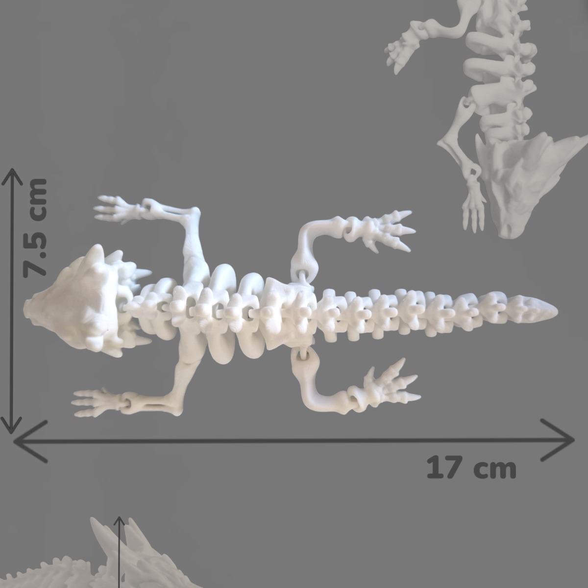 Articulated Skeleton Dragon