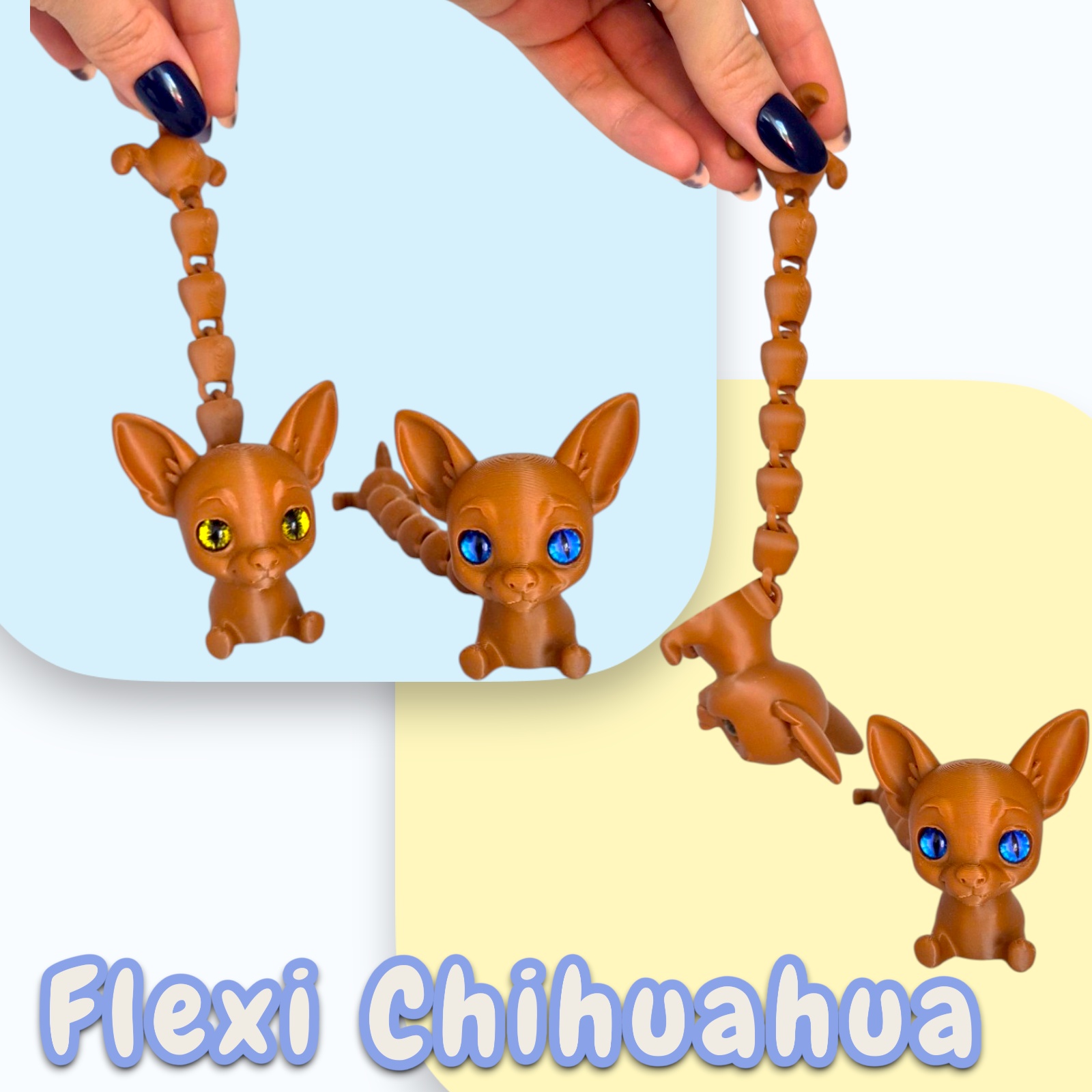 Flexi Chihuahua