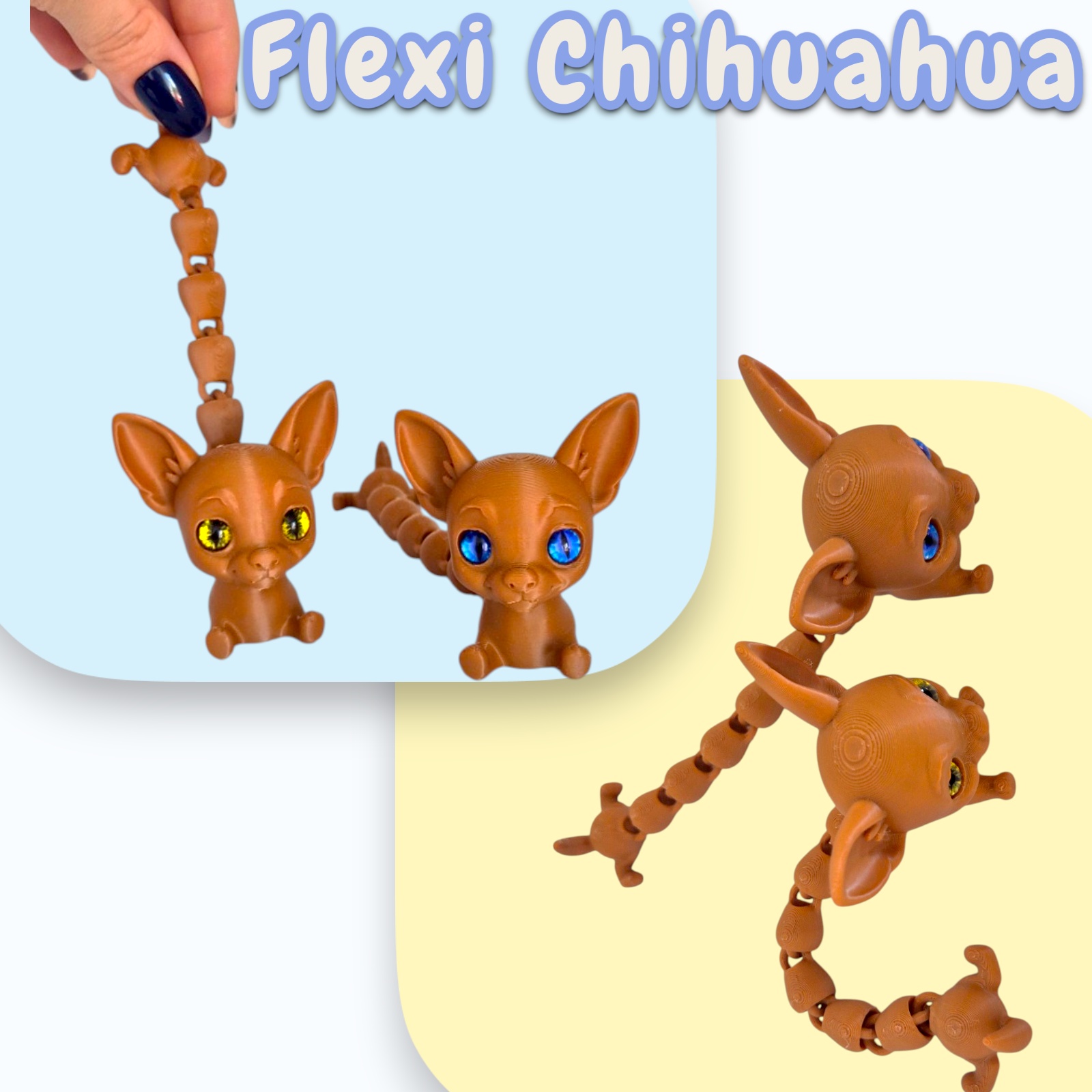 Flexi Chihuahua